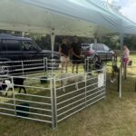 Laddingford School Fete