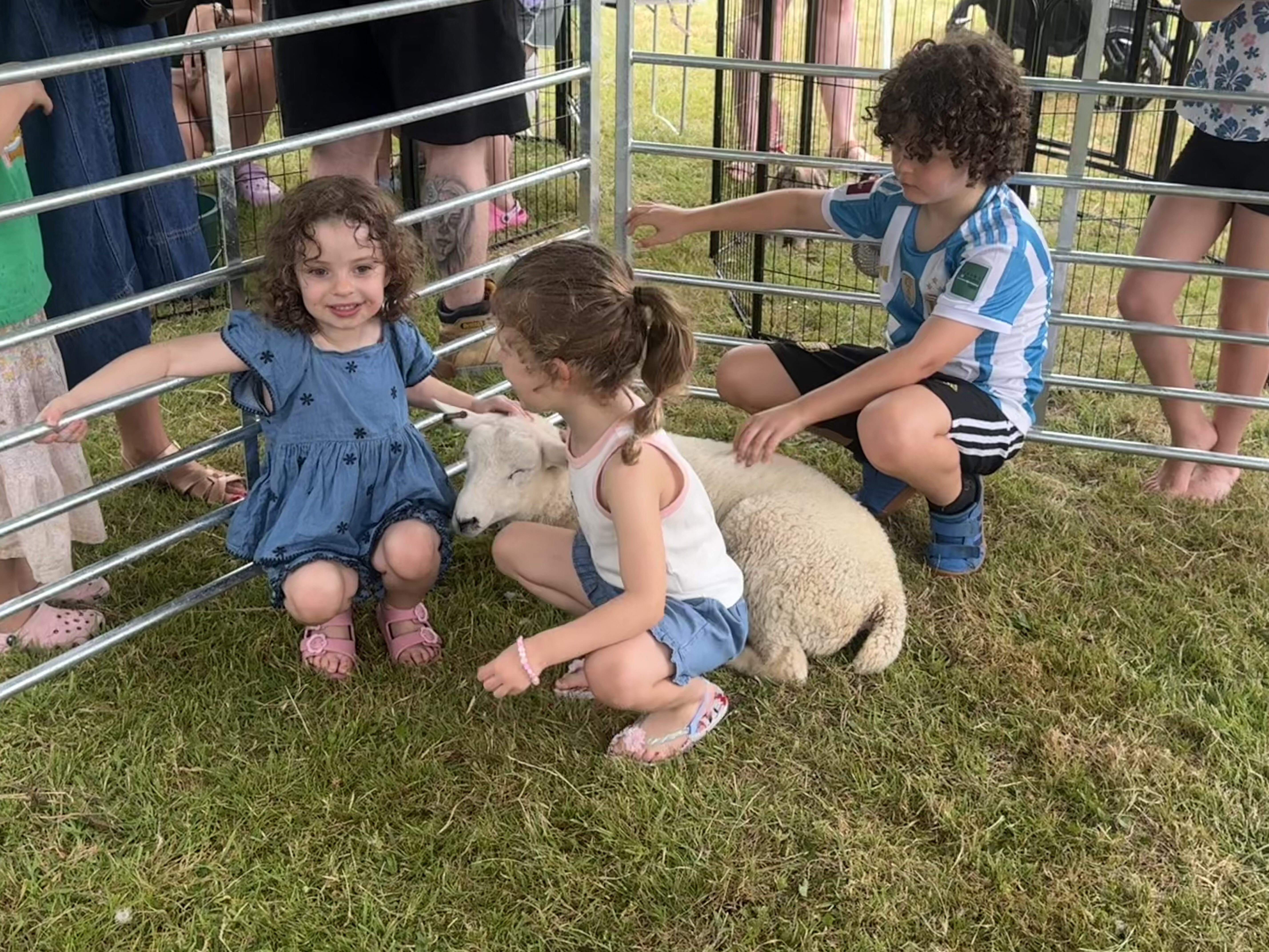Laddingford School Fete